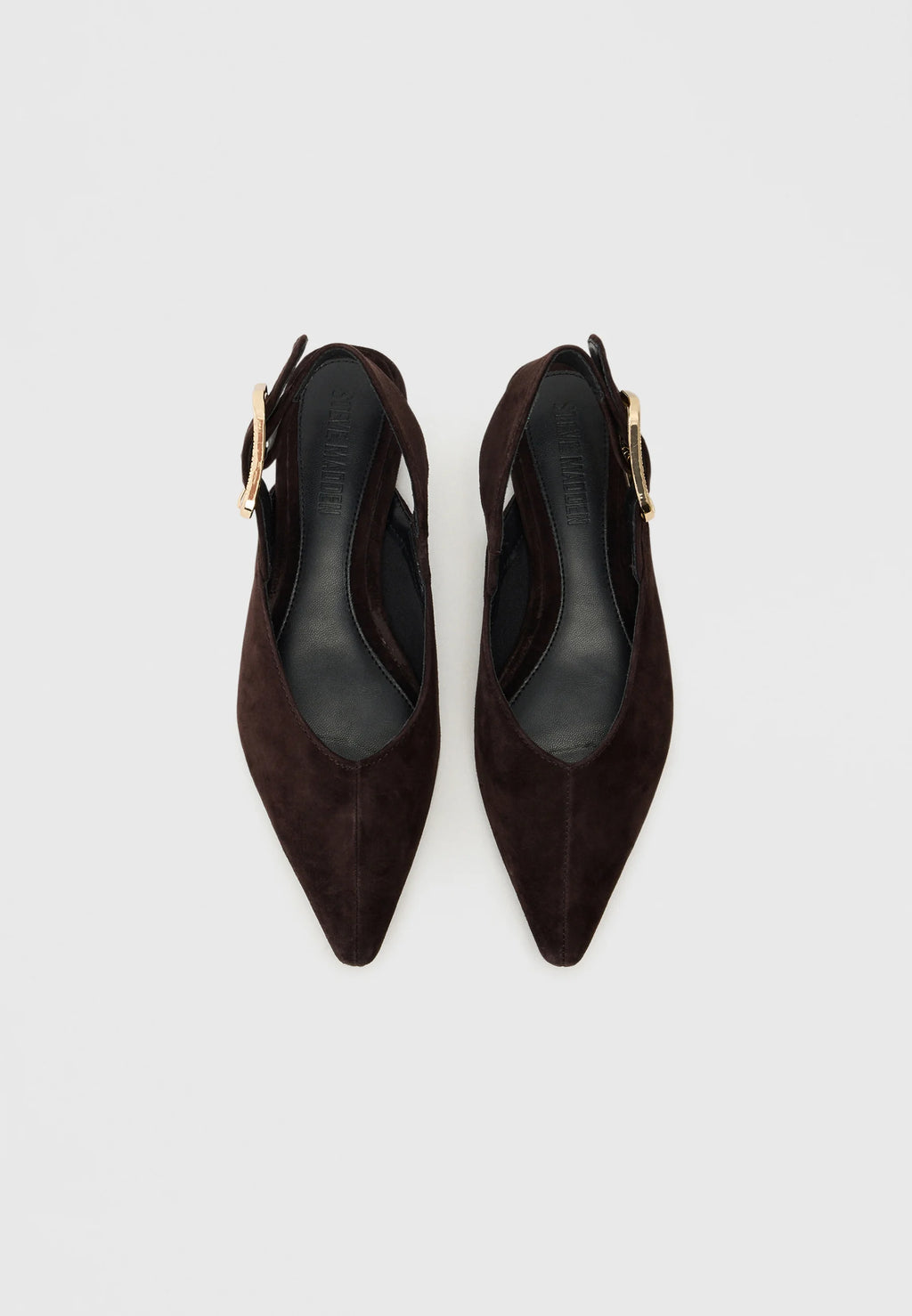 STEVE MADDEN Sianna marrone