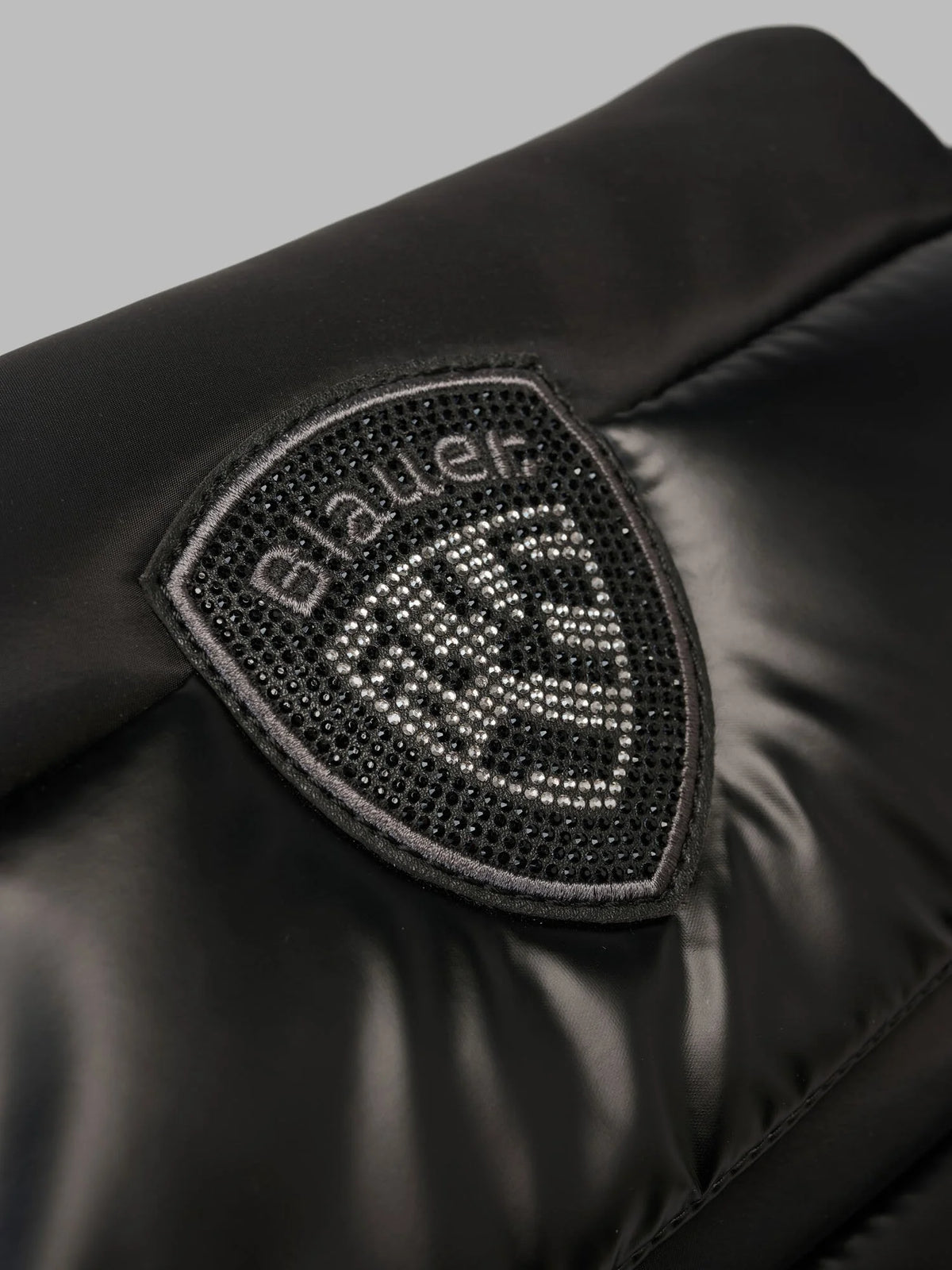 BLAUER Jenna02