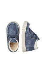 FALCOTTO Blaue Yorkshire Terrier