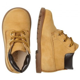 FALCOTTO Gelbsteinbock