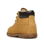 FALCOTTO Gelbsteinbock